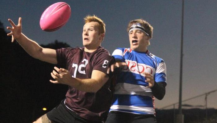 斯普林菲尔德大学的学生与加州州立大学进行橄榄球比赛